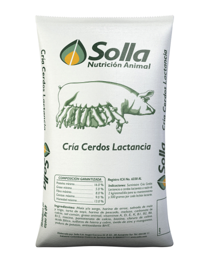 CRIA CERDOS LACTANCIA