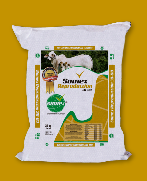 SOMEX PREMIUM REPRODUCCION 30-90