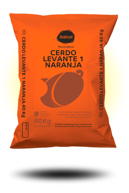 CERDO LEVANTE 1 NARANJA PELET