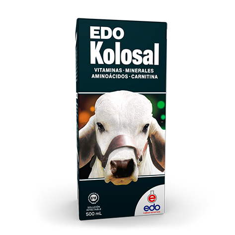 EDO KOLOSAL