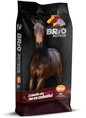 BRIO POTROS
