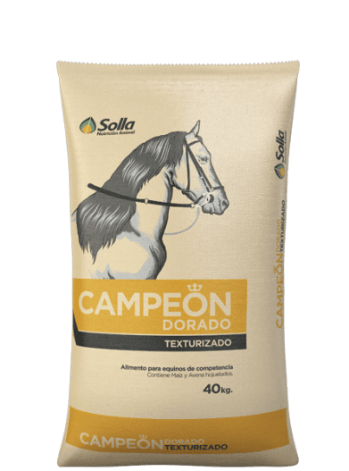 CAMPEON DORADO TEXTURIZADO