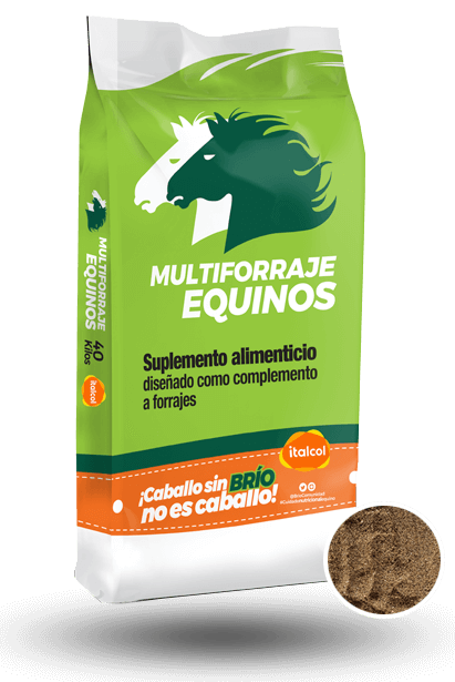 MULTIFORRAJE EQUINO