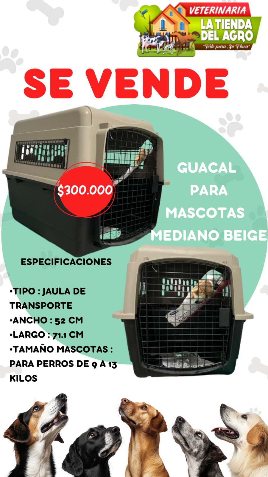 Guacal Para Mascotas Mediano Beige